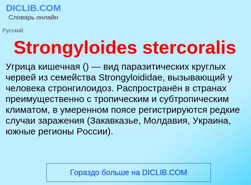 Что такое Strongyloides stercoralis - определение