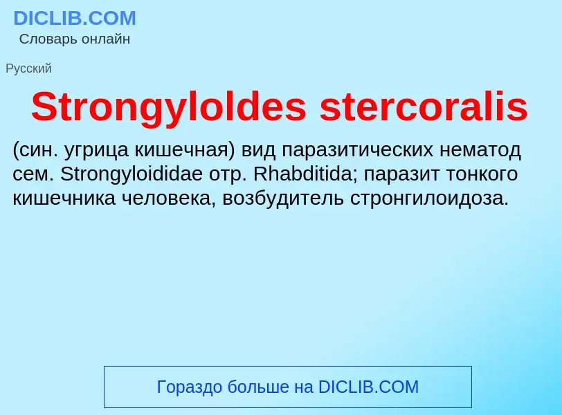 Что такое Strongyloldes stercoralis  - определение