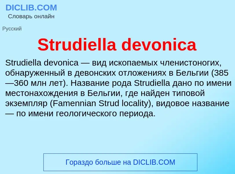 Что такое Strudiella devonica - определение