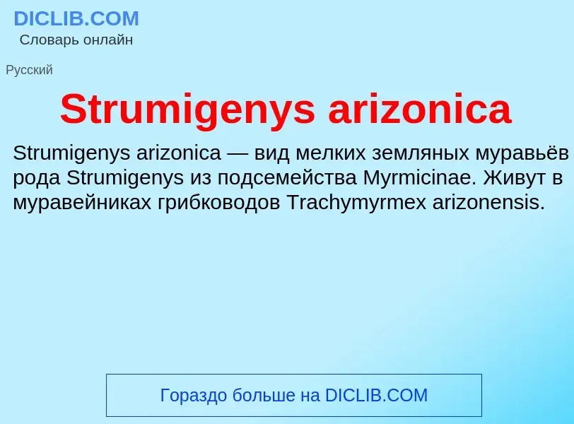 Что такое Strumigenys arizonica - определение