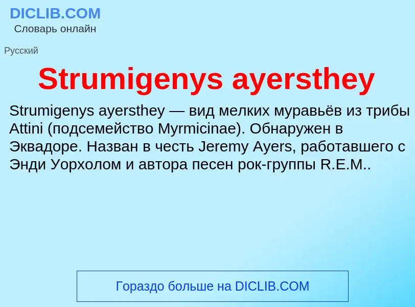 Что такое Strumigenys ayersthey - определение