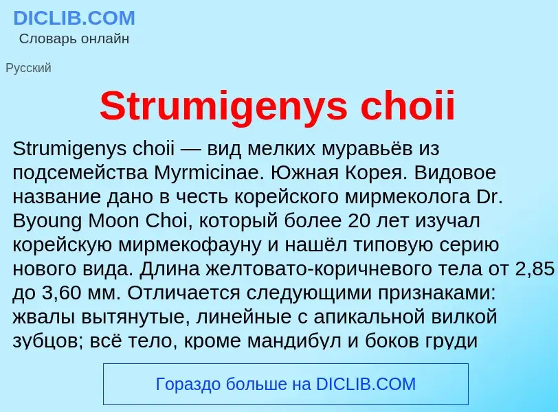 Что такое Strumigenys choii - определение