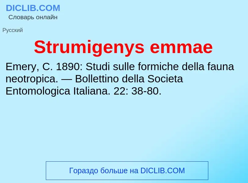 Что такое Strumigenys emmae - определение