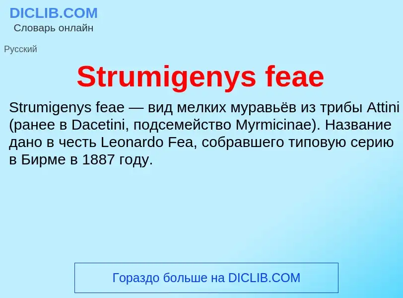 Что такое Strumigenys feae - определение