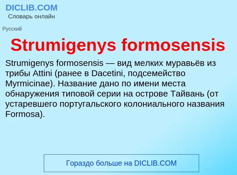 Что такое Strumigenys formosensis - определение