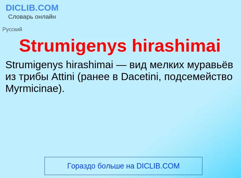 Что такое Strumigenys hirashimai - определение