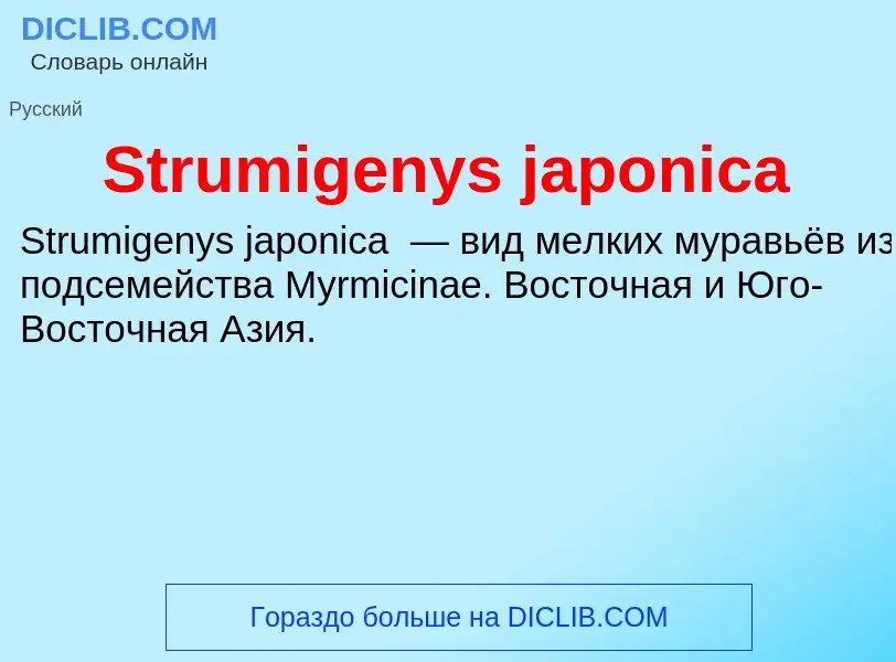 Что такое Strumigenys japonica - определение