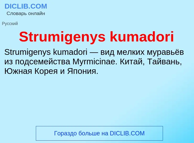 Что такое Strumigenys kumadori - определение