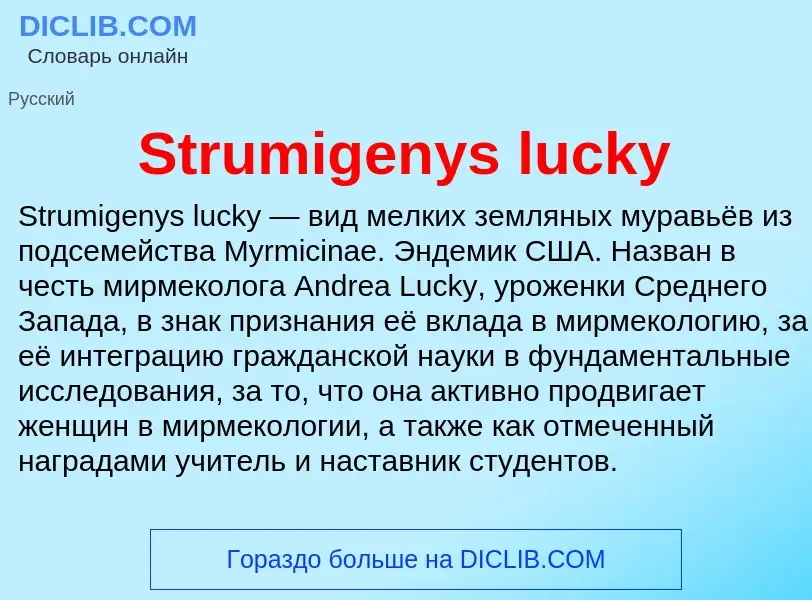 Что такое Strumigenys lucky - определение