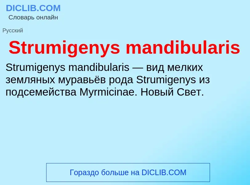 Что такое Strumigenys mandibularis - определение