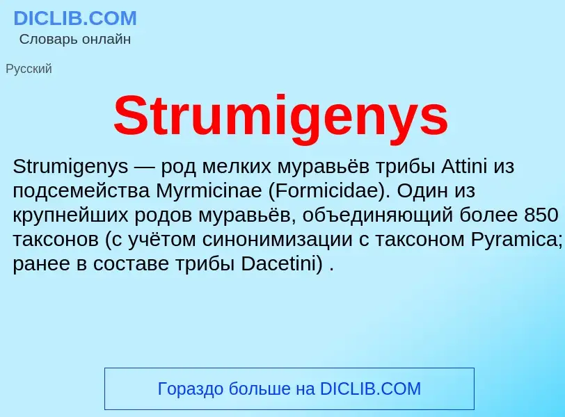 Что такое Strumigenys - определение