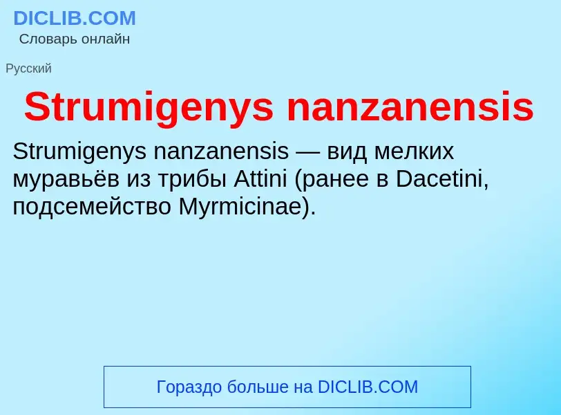 Что такое Strumigenys nanzanensis - определение