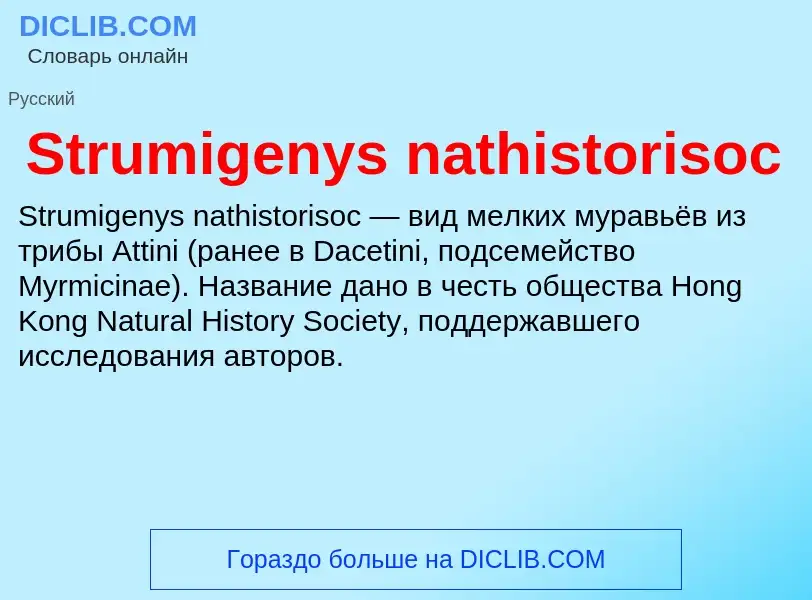 Что такое Strumigenys nathistorisoc - определение