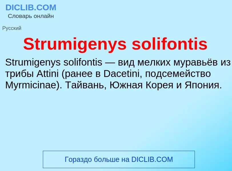 Что такое Strumigenys solifontis - определение