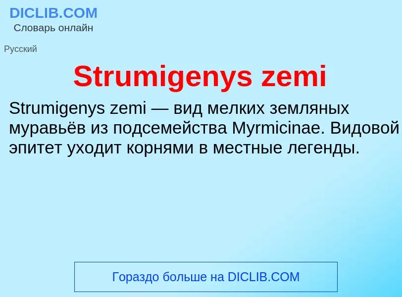 Что такое Strumigenys zemi - определение