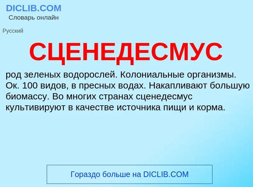 What is СЦЕНЕДЕСМУС - definition