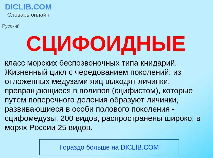 ¿Qué es СЦИФОИДНЫЕ? - significado y definición