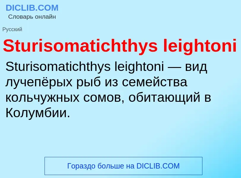 Τι είναι Sturisomatichthys leightoni - ορισμός