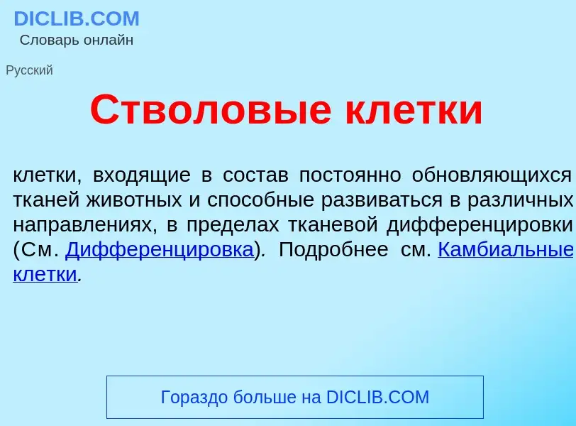 O que é Стволов<font color="red">ы</font>е кл<font color="red">е</font>тки - definição, significado,