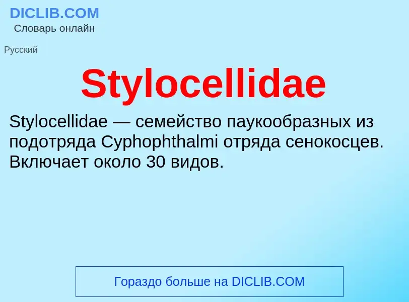 Τι είναι Stylocellidae - ορισμός