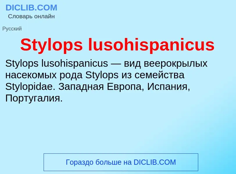 Τι είναι Stylops lusohispanicus - ορισμός