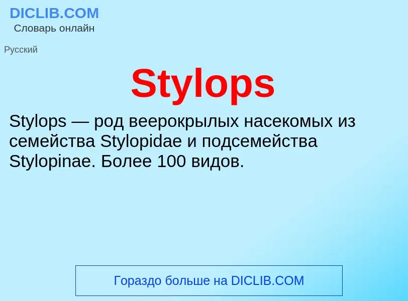 Что такое Stylops - определение