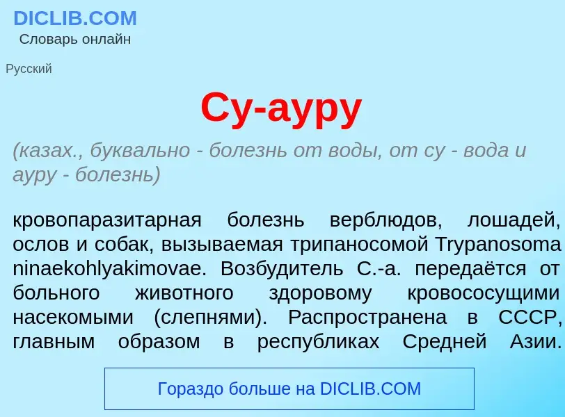 Che cos'è Су-аур<font color="red">у</font> - definizione