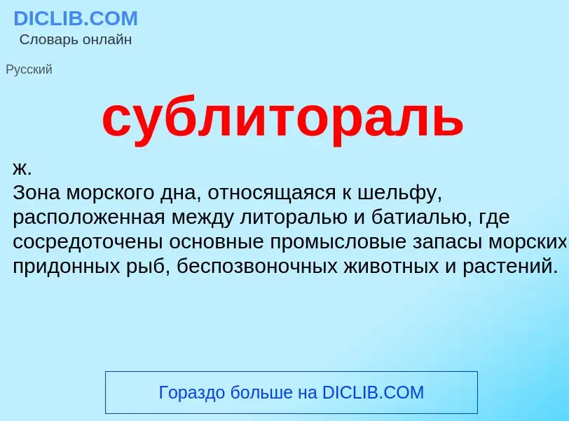 What is сублитораль - definition