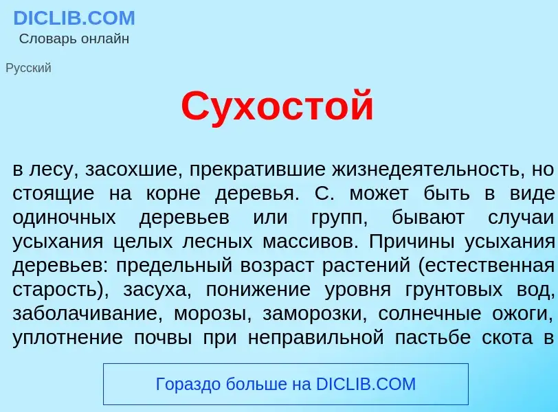 Что такое Сухост<font color="red">о</font>й - определение