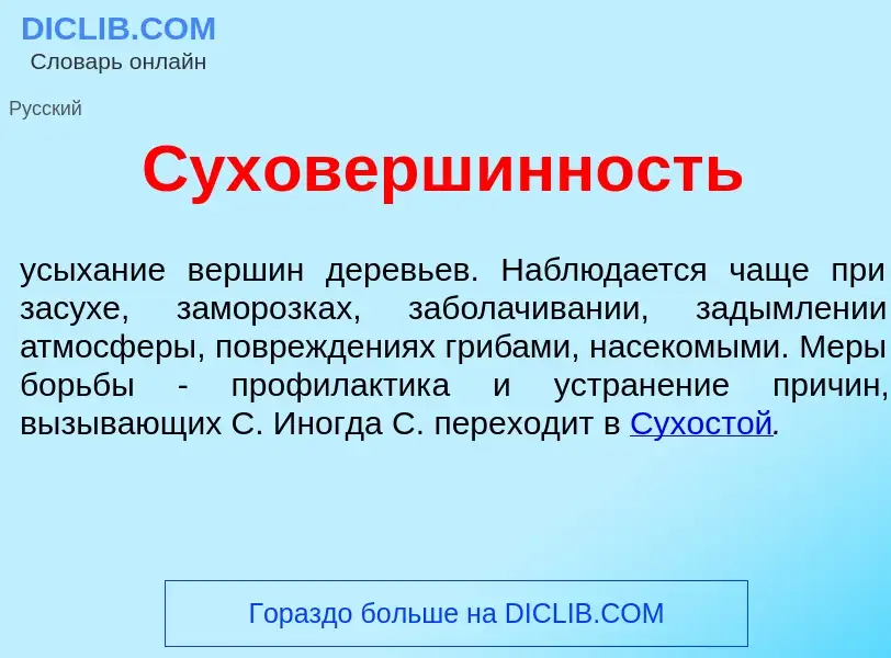 Che cos'è Суховерш<font color="red">и</font>нность - definizione