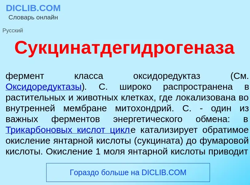 O que é Сукцинатдегидроген<font color="red">а</font>за - definição, significado, conceito