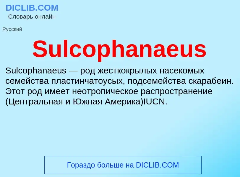 Che cos'è Sulcophanaeus - definizione