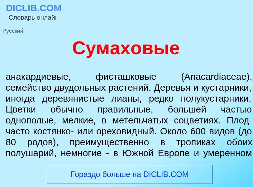 What is Сум<font color="red">а</font>ховые - meaning and definition