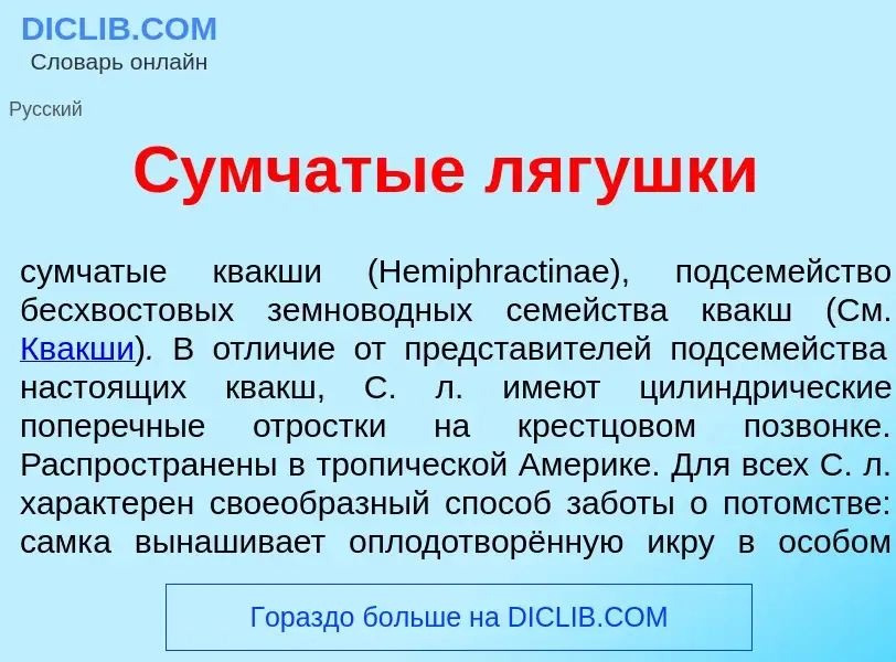 Что такое С<font color="red">у</font>мчатые ляг<font color="red">у</font>шки - определение