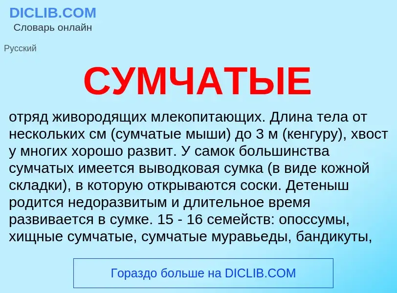 What is СУМЧАТЫЕ - meaning and definition