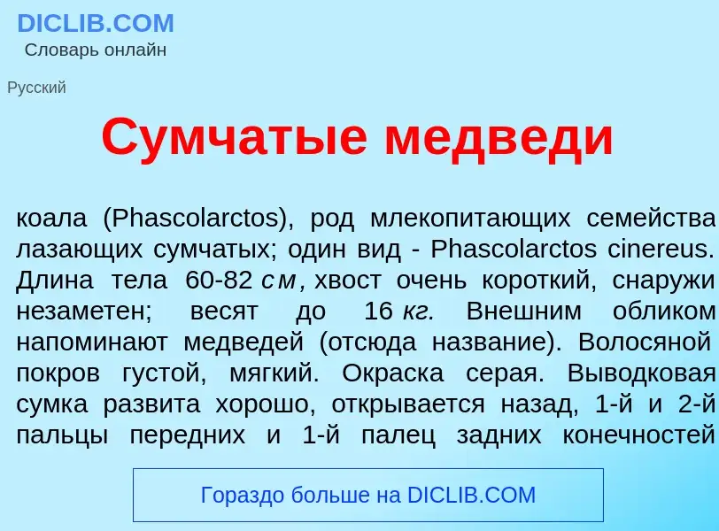 Что такое С<font color="red">у</font>мчатые медв<font color="red">е</font>ди - определение