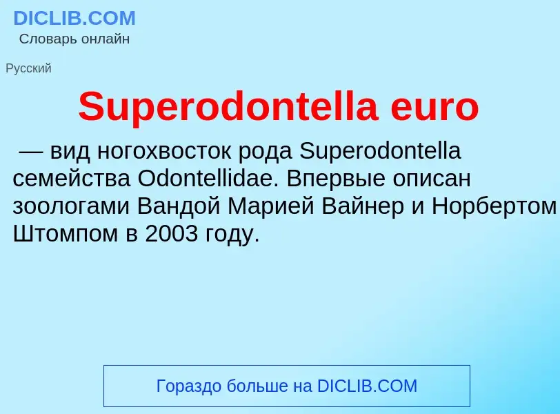 Τι είναι Superodontella euro - ορισμός