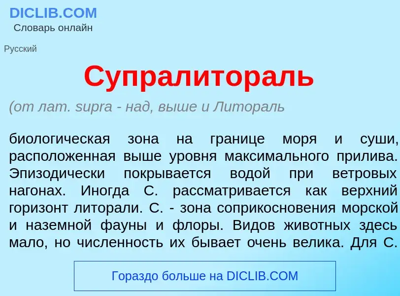 Что такое Супралитор<font color="red">а</font>ль - определение