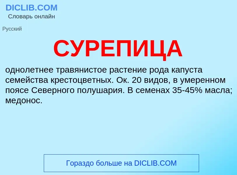 Что такое СУРЕПИЦА - определение