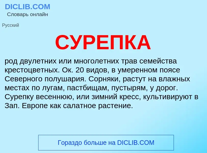 What is СУРЕПКА - meaning and definition