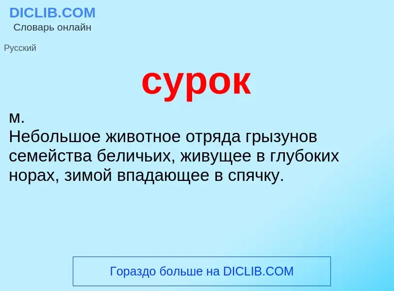 What is сурок - meaning and definition