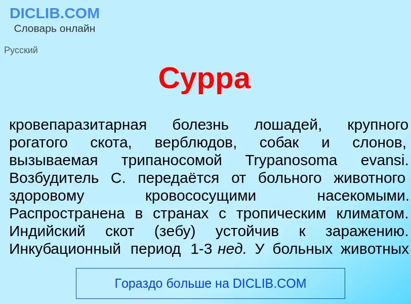 Che cos'è С<font color="red">у</font>рра - definizione