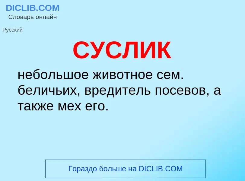 What is СУСЛИК - meaning and definition