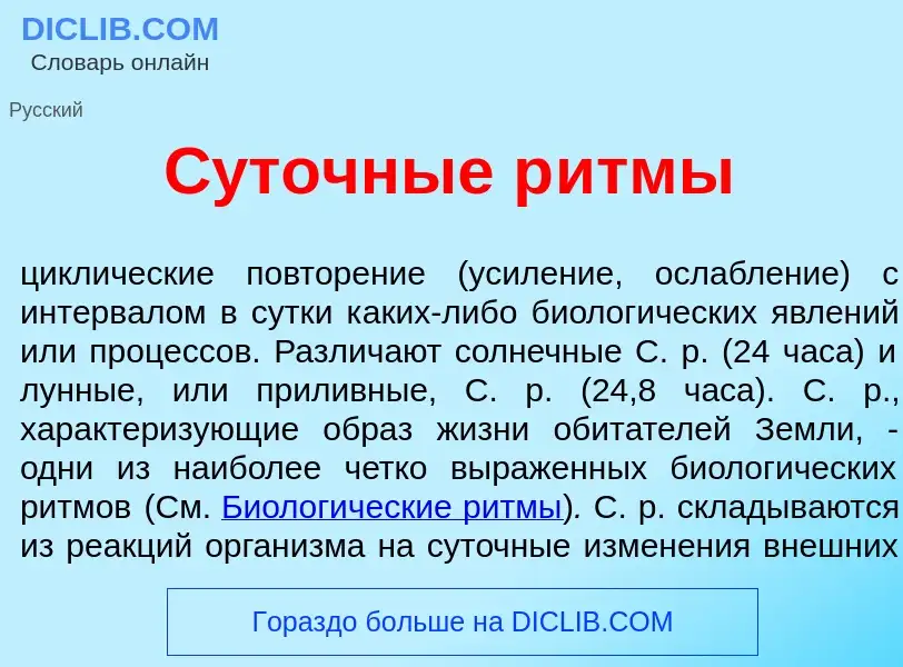 Was ist С<font color="red">у</font>точные р<font color="red">и</font>тмы - Definition