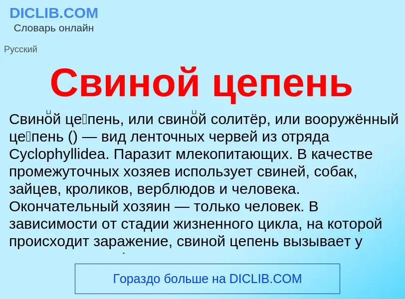 Wat is Свиной цепень - definition