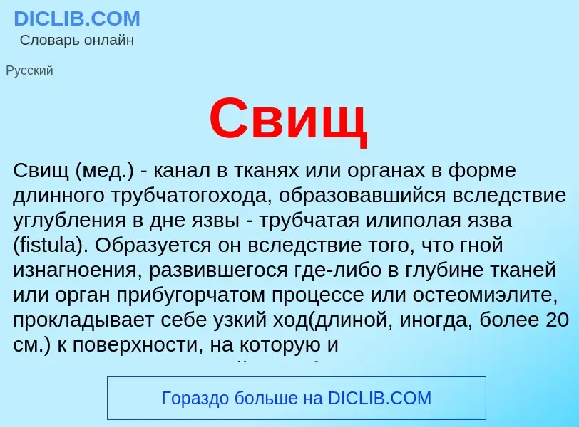 Wat is Свищ - definition