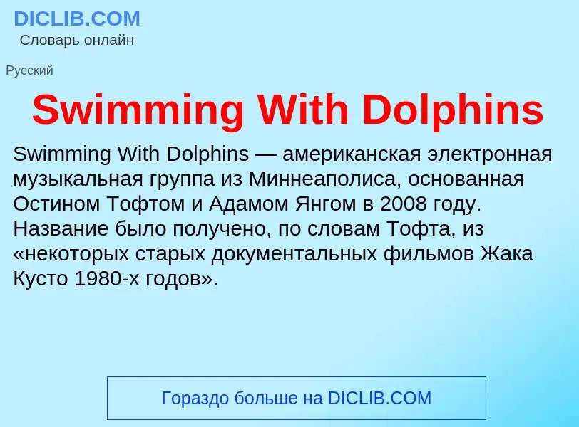 What is Swimming With Dolphins - meaning and definition