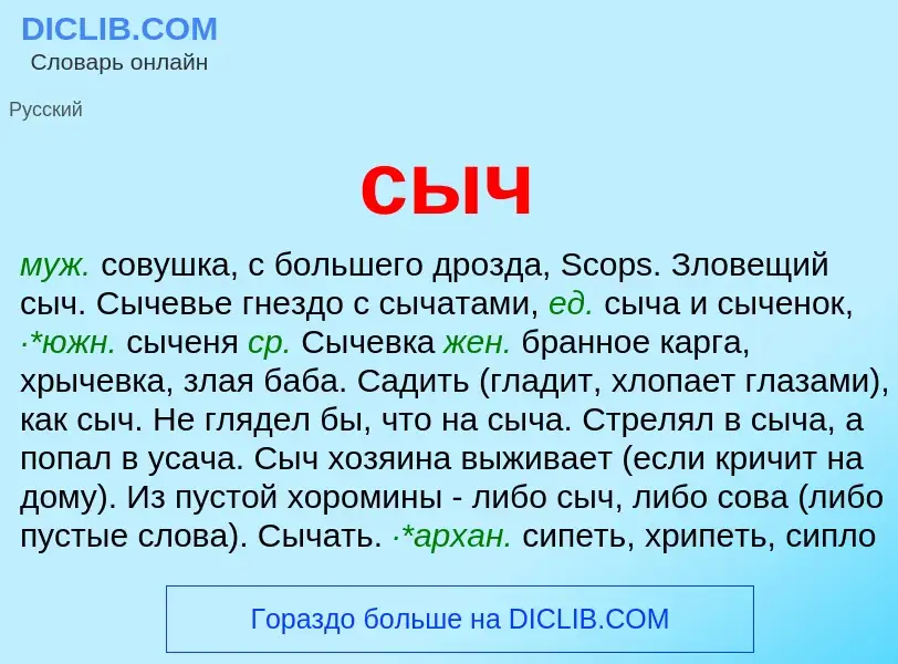 Что такое сыч - определение