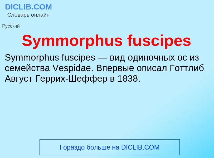 What is Symmorphus fuscipes - meaning and definition