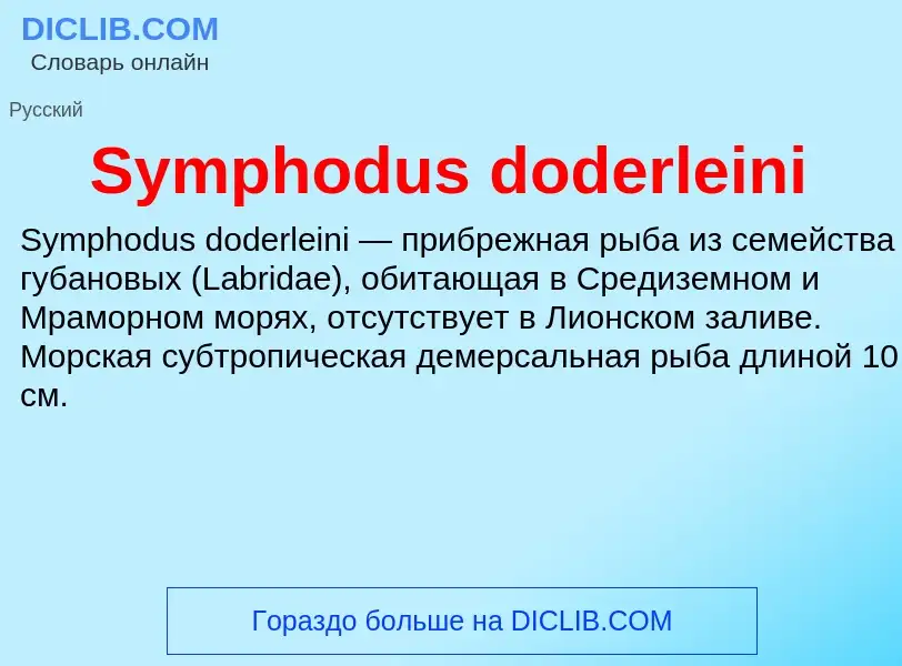 Τι είναι Symphodus doderleini - ορισμός